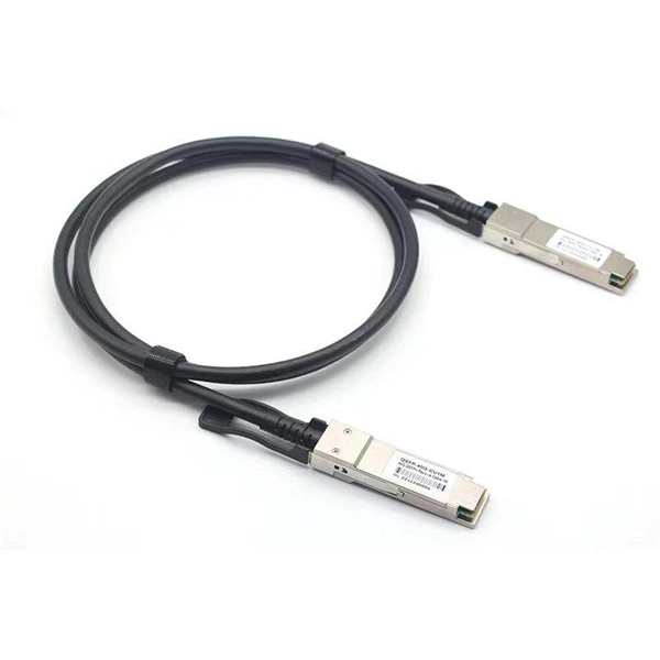 Can two fiber optic switches form a ring network 