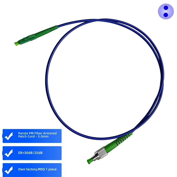 Why are there two fiber optic LC interfaces 